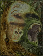 Psychedelic Art - Gorilla Dream Orange
